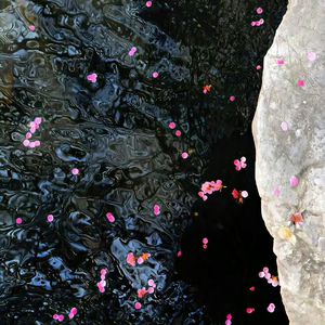 东北女人啪啪ⅩXX对白HD
