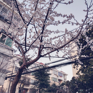 东北女人啪啪ⅩXX对白HD
